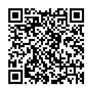 咱们这次和海底的这些人达成的协议不就是要杀了这些家伙么二维码生成