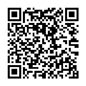哈哈……等张贵珠当着全校师生家长的面听到这个处罚通知二维码生成