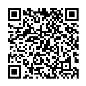 哈哈 我问你个问題 你这混混 打算干一辈子么 二维码生成