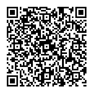 哈哈哈……打开了　三千轮回　三千修真星　灵界轮回三千载　终于打开了　我们还有希望……有希望　二维码生成