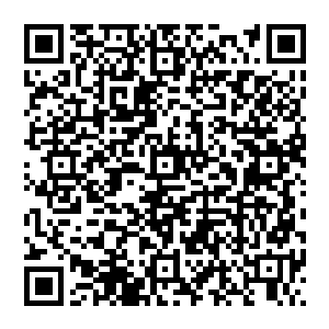 哈哈哈……沒什么 就是想來见识一番 如今修真界的顶级青年天骄 顺便观摩一番你的无上风采 二维码生成