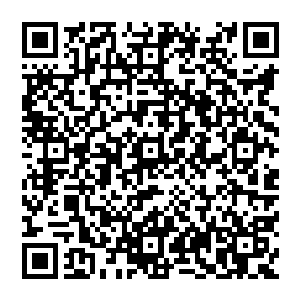 哈哈哈　前辈说笑了　这世界中　我们知道的少之又少　但这并不重要　重要的是　我们先去寻宝才对　二维码生成