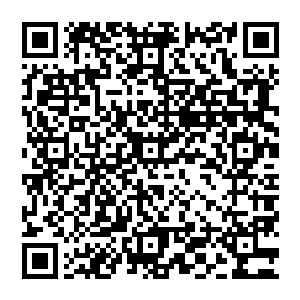 哈哈哈 圣皇子说的是 若是不清扬 就算我们发现了 沒有他那等神奇的切石之术 也无法将其获取 二维码生成