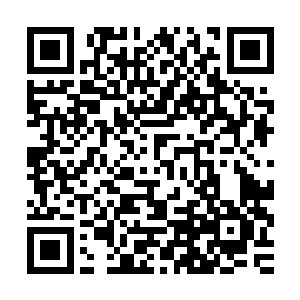 哈哈哈哈哈……哈哈哈哈……无极……我受不了了……哈哈哈哈二维码生成