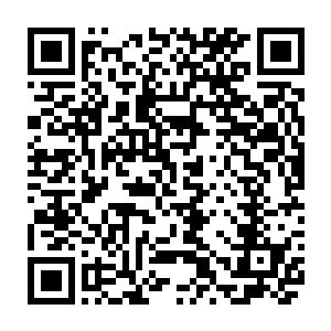 哈哈哈哈哈我怎么会放她哈哈哈哈你上当啦哈哈哈哈你就等着死不瞑目吧……二维码生成