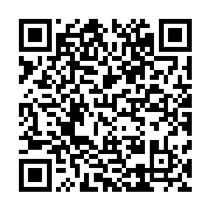 哈啊……我说啊……天上的网……哈啊……怎么忽然显形了二维码生成