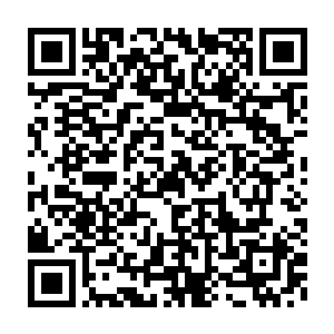 哥哥和你嫂子在你咖啡店里召开记者招待会说不定还可以带动消费呢二维码生成