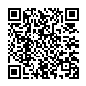 哥特贤者小屋和白树林城堡将黑骨林学院一代传承断绝的任务二维码生成