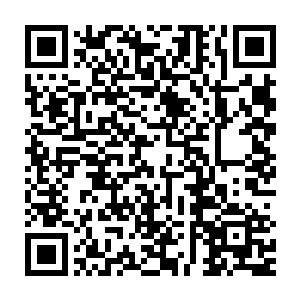 哪怕一直是前十大种族也无法在仙王强者的数量上领先太多的原因二维码生成