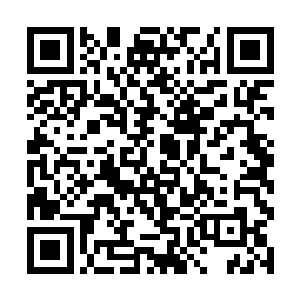 哪怕人家买本田的对本田不满意了也可以买你的丰田二维码生成