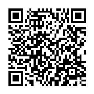 哪怕他们请了现场的观众在上面进行监督……甚至从开始到现在二维码生成