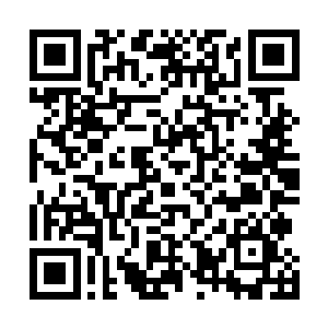 哪怕实在不行厚着脸皮请何铿和雷达出资组建公司来投资二维码生成