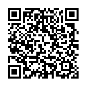 哪怕废柴也能变得很强――他们把这一切都归功于燕长风了二维码生成