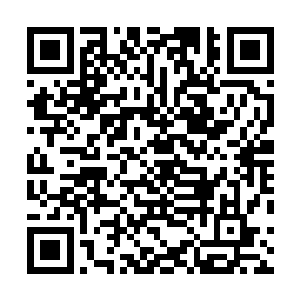 哪怕是一般修士修炼个好几年都不一定能够得到任何进展二维码生成