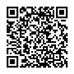 哪怕是不死也会因为全身关键肌肉和经络的断裂而无法动弹的二维码生成