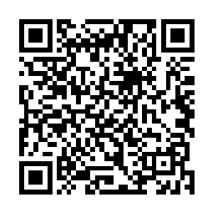 哪怕是以愤怒的修为和实力竟然也一瞬间受到了一点影响二维码生成