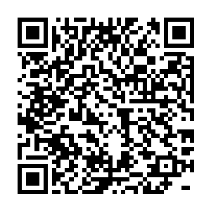 哪怕是别人遇到了混沌果树顶多就是能够得到混沌果树的果实而已二维码生成