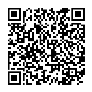 哪怕是动用枪械也没有什么大碍的……青铜武士的外壳太过于坚硬了二维码生成