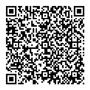 哪怕是大街之上 依旧随处可见杀戮 就好比现在 风清扬等人刚进入大城 便见一狼头人身的妖将一口咬掉了一个修为弱小的妖将二维码生成