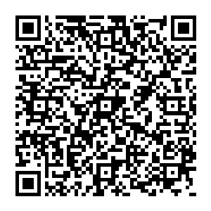 哪怕是将剑术宗师的种种技巧发挥到极致也依旧难以对抗发怒天荒树的潮水般连续不断的攻击二维码生成