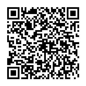 哪怕是曾经在南海一带非常强大的南海紫竹剑宗似乎也是远远不及的二维码生成