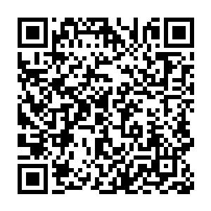 哪怕是木家无数年的积累也拿不出几样能够跟这些东西媲美的珍宝二维码生成