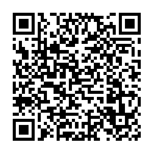 哪怕是极远处地上的一块小石子儿的颤动……也尽在其掌握之中……二维码生成