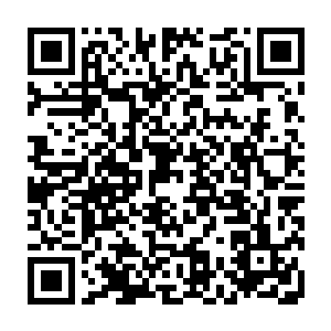 哪怕是森林中仅有的一两头二级妖兽都带着忌惮的眼神任由叶尊穿过森林二维码生成