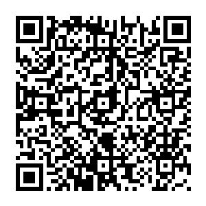 哪怕是楚暮这样的绝世天骄也完全没有半分可能以小主宰境入门的层次对抗一尊大主宰境二维码生成
