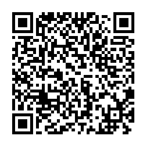 哪怕是现在就把他们单独一个人给扔到荒郊野外去生活几天的时间二维码生成