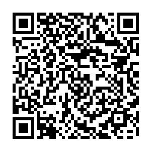 哪怕是真武玄域的七荒势力的真传弟子甚至是秘传弟子都不一定舍得拿出来二维码生成