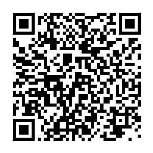 哪怕是秦方准备了多少补血丹也不够的……神蚕的杀伤力太可怕了二维码生成