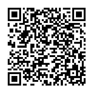 哪怕每隔一段时间就会勒令那些数量过多的海族向海角城发起自杀式冲击二维码生成