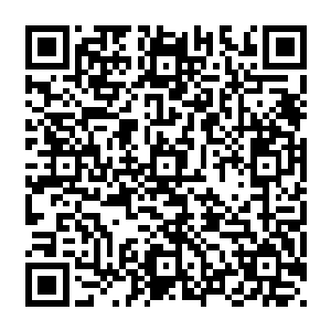 哪怕这一刻镜子之中大战已经是到了最激烈的时刻也无法再引起这些仙王强者的注意力了二维码生成