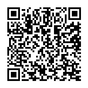哪里见到过啊就是家族的族长也没有见到过啊对于世俗界的修者来说二维码生成
