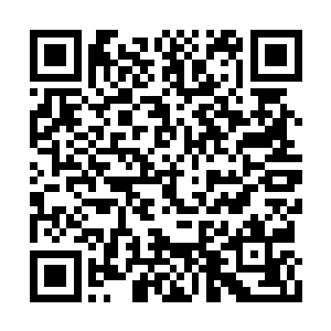 哪里还用得着在王铮这样的富二代面前忍气吞声二维码生成