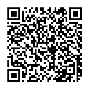 哲罗姆曾经告诉他守护之神教派的荒野守护者有着强大的控制动物的能力二维码生成