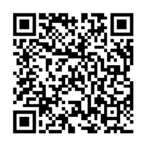 哼……刚才那几十秒是在犹豫吗……还是在商量战术呢二维码生成