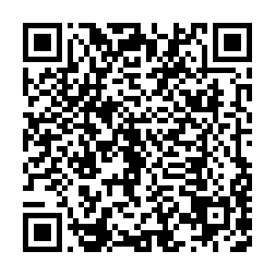 唉……要不是在原地站了太久被系统提示我再不动就算消极游戏了二维码生成