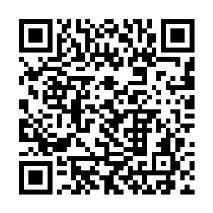 唐劫他们很快在县城以北的双福街看到一片深宅大院二维码生成