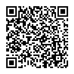 唐劫到是明白了为什么会有那两条怪鱼的存在了――它们不是用来杀人的二维码生成