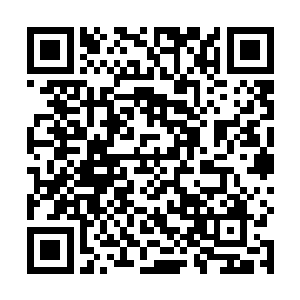 唐哲琛看上去已经没了半分当时生病时的神志不清模样二维码生成