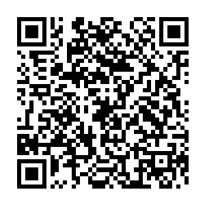 唐啸见这位素来大气沉稳的检察长今日的表现也有些与往常不一样二维码生成