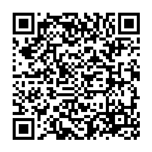 唐翩跹指着楼梯下转角处的那两只属于他的行李箱对他下了逐客令二维码生成