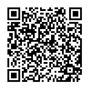 唐菲的胸前之物已经从上一周的盈盈一握变成了现在的一手难以掌握二维码生成