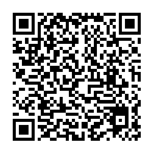 唯一一名没有参与讨论的另一位料理系新生在心中默默的比了个食指二维码生成