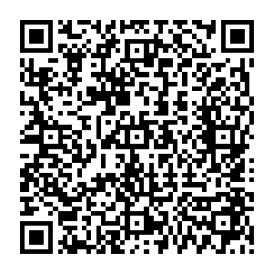 唯一区别的就是过一会儿就有服务生过来帮着老板和老板娘把手中的空杯子拿走换上新榨的果汁二维码生成