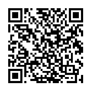 唯一的可能就是同名次的人呈上的东西完全一模一样二维码生成
