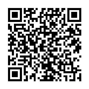 唯一的目的就是确保最后的选择结果不会明显不符角色需要二维码生成