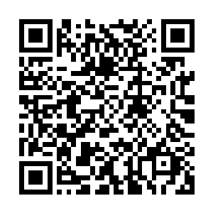 唯一的解释便是杨开刚才暗地里施展了什么惊人的手段化险为夷二维码生成